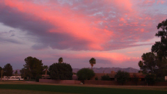 Patio View